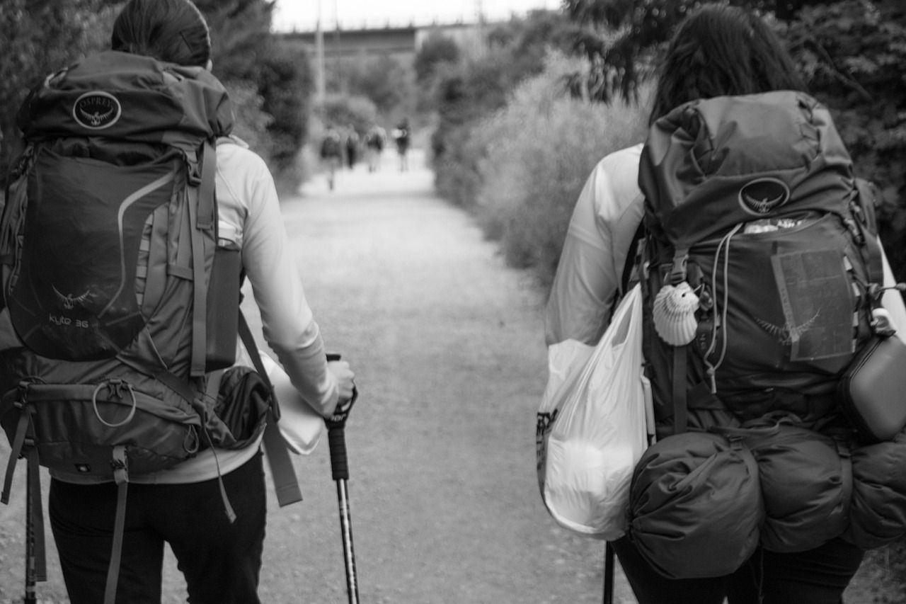 Peregrinos Camino de Santiago