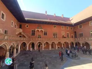 Collegium Maius