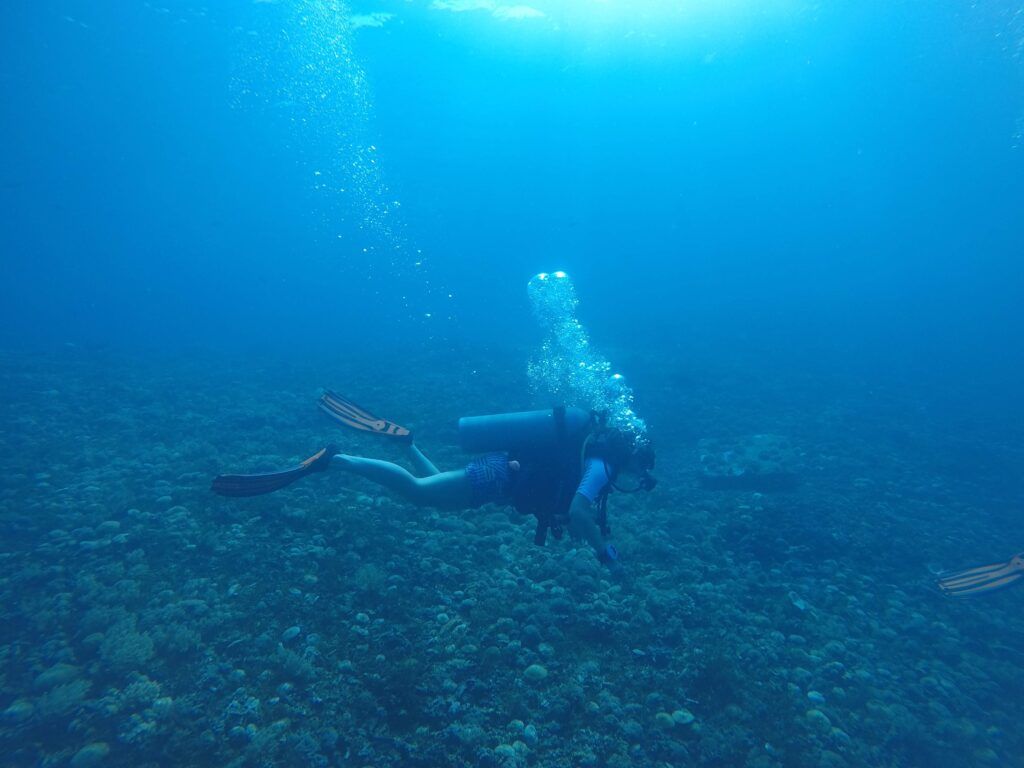buceo
