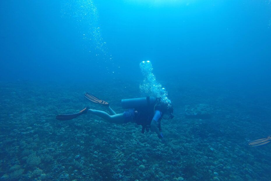 buceo