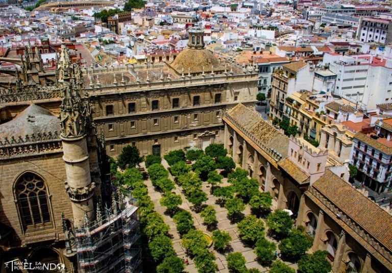 Patio de los naranjos en la Catedral de Sevilla