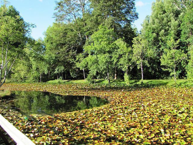 Valdivia, la Perla del Sur