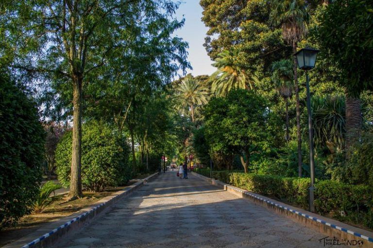 Jardines de murillo