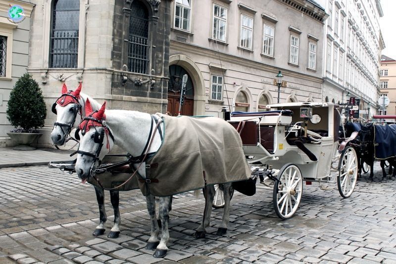Las calles de Viena